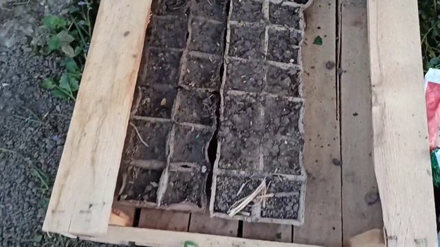 Секреты урожайности: удивительные различия между ого? смотреть онлайн