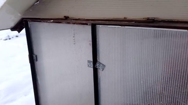 куры и индюки в теплице зимой Екатеринбург, -20 смотреть онлайн