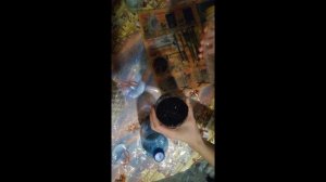 Образовался каллус на черенках роз