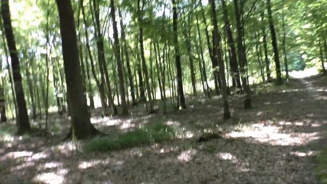 ГРИБЫ 😱 нами УПРАВЛЯЮТ !? ЛЕЧЕБНЫЕ свойства, где ЭКОЛО смотреть онлайн