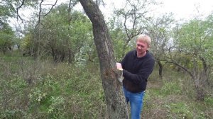 ЛУЧШАЯ РУЧНАЯ НОЖОВКА САМУРАЙ! Обзор и тест ручной нож