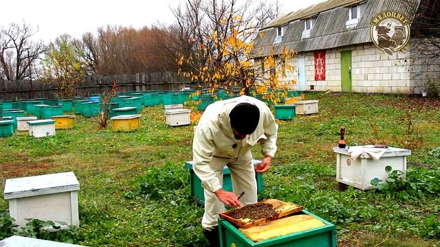 В мегаполисе всю зиму с пчелами. Везу пчёл в город. Пче? смотреть онлайн