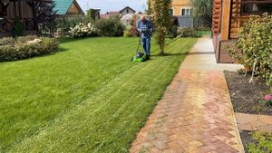 Косим газон БЕЗ травосборника! Сотка за 15 минут! ГАЗОН?