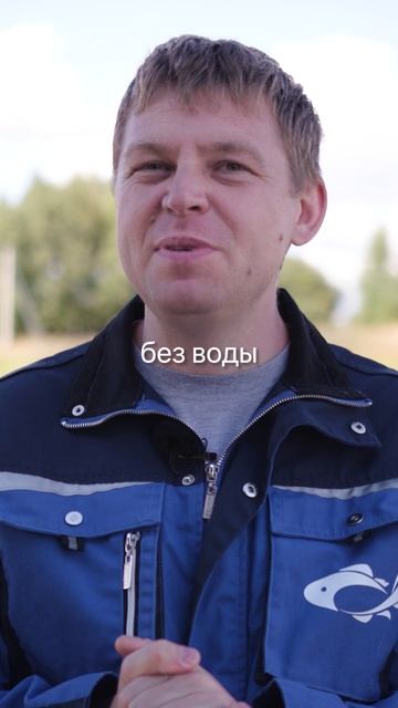 Почему рыба без воды не станет сушёной и что бывает, если сушить неправильно. смотреть онлайн