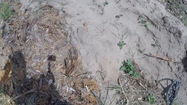 Лесная вырубка снова принесла результат! Встретил лес смотреть онлайн