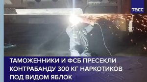 Таможенники и ФСБ пресекли контрабанду 300 кг наркотиков под видом яблок