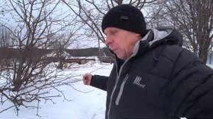 КОГДА ВЫСТАВЛЯТЬ ПЧЁЛ ИЗ ОМШАНИКА, РАННЯЯ ИЛИ ПОЗДНЯЯ