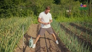 ПОСАДКИ ПОСЛЕ ЧЕСНОКА: ЧТО ПОСЕЯТЬ В ИЮЛЕ-АВГУСТЕ ДЛЯ ?