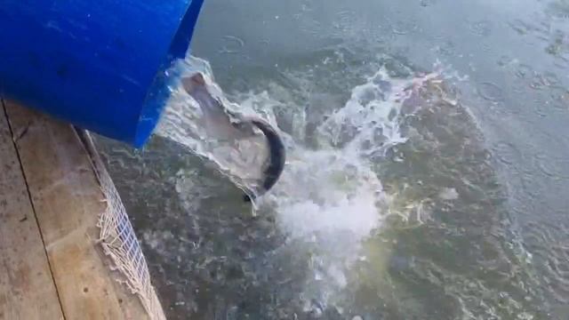 09-09-2025 смотреть онлайн