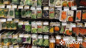 Смотрим семена в АШАНЕ