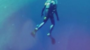 Песня Клип про БЛУП - САМОЕ БОЛЬШОЕ ПОДВОДНОЕ СУЩЕСТВО