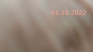 Прививка почки яблони под кору в сентябре