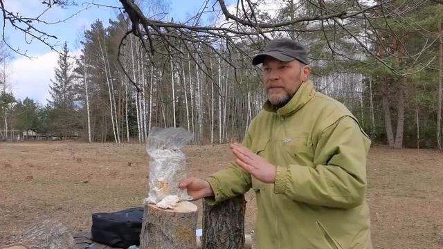 Мицелий. Где купить и как выбрать? Грибной бизнес. Веше