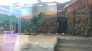 звезды 🌌 сошлись по звёздам