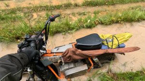 Каждый год одно и тоже. К избе сходу не пробиться