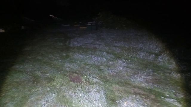 Перевожу пчёл ночью и ответ га вопрос смотреть онлайн