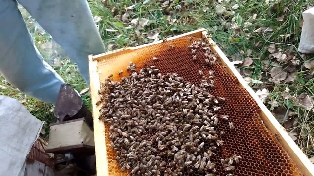 Кубы смотреть онлайн