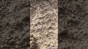 Это мы еще не находили! искатели сокровищ. nokta legend. Папо