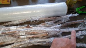 Как подготовить черенки винограда для хранения