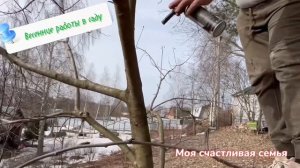 Обработка яблонь и груш от лишайника и мха.