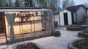 теплица пристройка к сараю#монолитный поликарбонат#г?