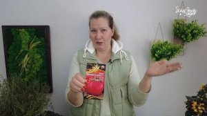 ВЫБРАЛА ТОМАТЫ ДЛЯ УЛИЦЫ - ЛОМОВОЙ УРОЖАЙ БУДЕТ ОПЯТЬ!