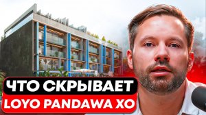 LOYO BONDAR PANDAWA XO - ЖЕСТКИЙ разбор! Доходность, плюсы и минусы