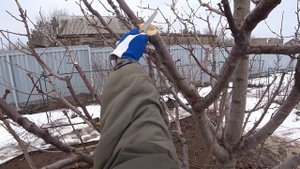 КАК правильно ОБРАБАТЫВАТЬ СПИЛЫ и чем лучше ЗАМАЗЫВА