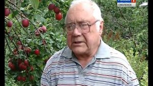 Виноградная Смоленщина КФХ «ПИТОМНИК» Чугуева Ю.М.