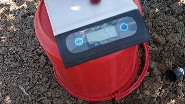 Вишня сорт Любская смотреть онлайн