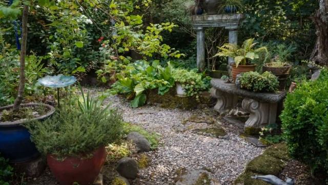 61 Супер Крутая идея для  сада смотреть онлайн