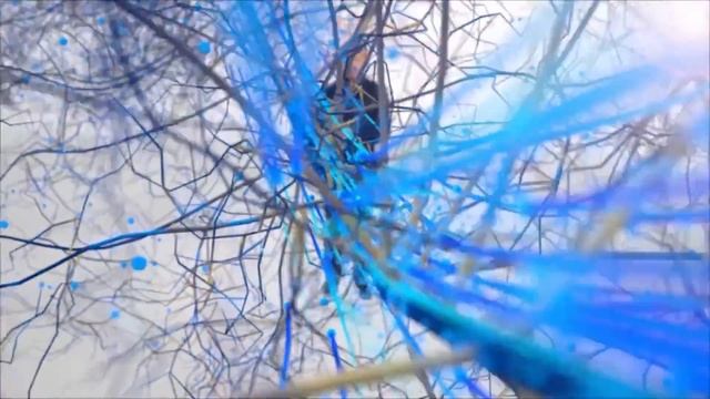 МИКОГЕЛЬ - ИННОВАЦИОННЫЙ ПРЕПАРАТ НА ОСНОВЕ МИКОРИЗЫ смотреть онлайн