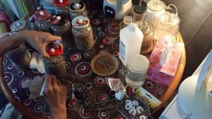 Размножаю мицелий разных грибов на пшенице.Результат.