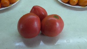 Томаты для открытого грунта. Томат Тяжеловес Сибири. ?