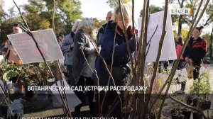 Ботанический сад устроил распродажу