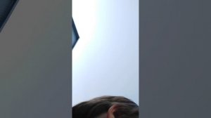 ограбление цветов Челлендж вторая часть часть вторая.mp4