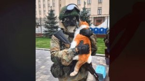 Песня Клип ЧМОНЯ Rasa - Пчеловод ПАРОДИЯ / Мем кот Чмоня