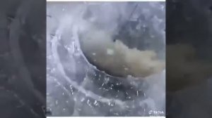 Видео от За Трофеем: Охота и Рыбалка