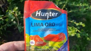 Как и Чем Бороться Со Слизнями на участке, если народн?