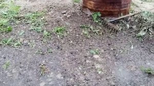 Турецкие микроджеты 180 и 360 градусов, для микрокапельн?