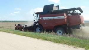 Урожай озимого рапса 2025: GOMSELMASH GS12A1PRO на уборке (часть 1)