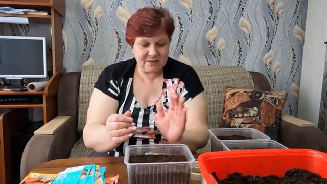 КАК ПОСЕЯТЬ ЛУК СЕМЕНАМИ И ПОЛУЧИТЬ ОГРОМНЫЙ УРОЖАЙ!! ? смотреть онлайн