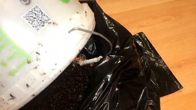 Делаем монотуб для выращивания грибов