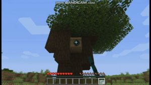 Пчелиный мир в майнкрафте