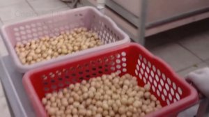 Современные технологии выращивания картофеля - Выращ?