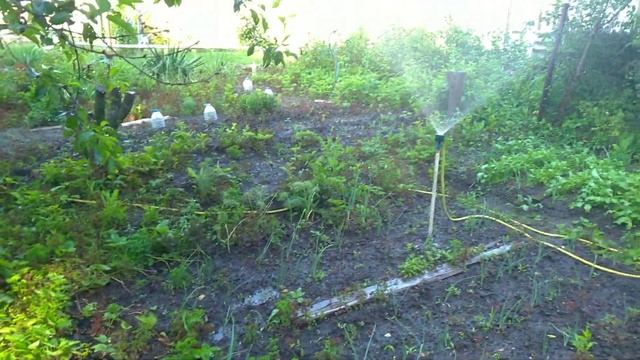 Урожайный огород Татьяны. Жара 39 полив огорода смотреть онлайн