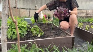 НАЧИНАЕМ ПОДГОТОВКУ! ШОПИНГ! ПОКУПКИ В ОТПУСК! МОЙ ШИК?