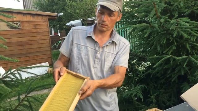 Ферма#домашняяпасека#мёд#пасека2021#электропривод#медо смотреть онлайн