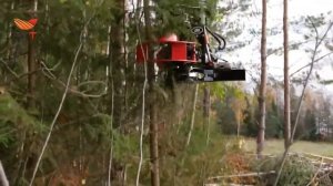 Валочная головка ZKT-JAK-200TC в работе