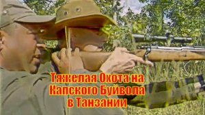 Тяжелая Охота на Капского Буйвола в Танзании